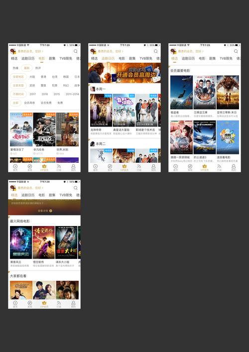 国产积木视频app,视频APP带你领略创意无限的世界  第3张